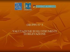 GRUPPO N 5 VALUTAZIONE SUGLI STRUMENTI DI RILEVAZIONE