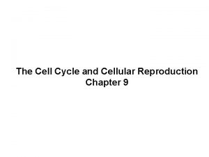 The Cell Cycle and Cellular Reproduction Chapter 9