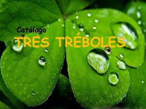 Catlogo TRES TRBOLES Maceteros Variedad De cuerda Descripcin