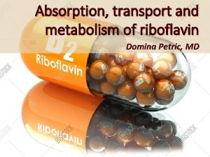Absorption transport and metabolism of riboflavin Domina Petric