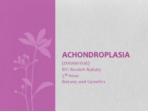 ACHONDROPLASIA DWARFISM BY Renieh Nabaty 5 th hour