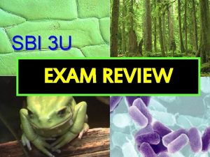 SBI 3 U EXAM REVIEW Exam Review Jeopardy