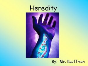 Heredity By Mr Kauffman Outline What are genes