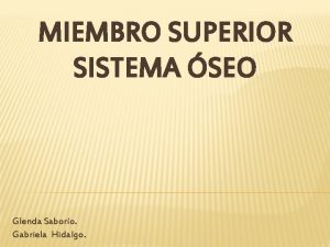 MIEMBRO SUPERIOR SISTEMA SEO Glenda Saboro Gabriela Hidalgo
