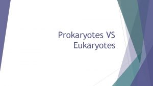 Prokaryotes VS Eukaryotes Two Types of Cells Prokaryotic