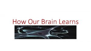 How Our Brain Learns Neurons Also known as