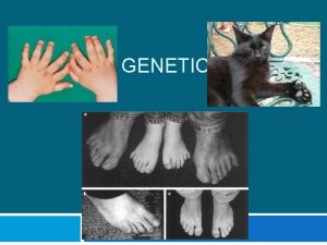 GENETICS Mendelian Genetics The passing of traits to