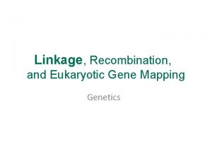 Linkage Recombination and Eukaryotic Gene Mapping Genetics Linkage