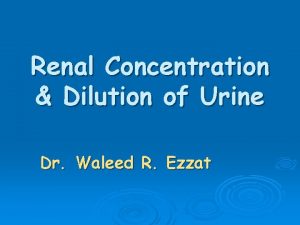 Renal Concentration Dilution of Urine Dr Waleed R