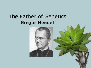 The Father of Genetics Gregor Mendel Gregor Mendel