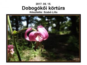2017 06 15 Dobogki krtra Ksztette Szab Lilla