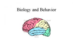 Biology and Behavior Neuron Individual nerve cell Soma