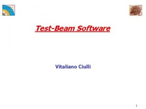 TestBeam Software Vitaliano Ciulli 1 Goals TestBeam software