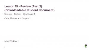 Lesson 15 Review Part 2 Downloadable student document