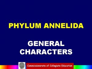 PHYLUM ANNELIDA GENERAL CHARACTERS REPRESENTATIVES ORIGIN The term