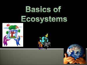 Basics of Ecosystems An ecosystem includes all of