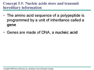 Concept 5 5 Nucleic acids store and transmit