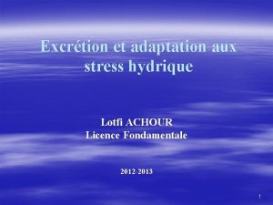 Excrtion et adaptation aux stress hydrique Lotfi ACHOUR