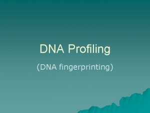 DNA Profiling DNA fingerprinting A Handful of DNA