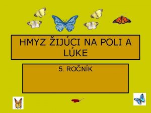 HMYZ IJCI NA POLI A LKE 5 RONK