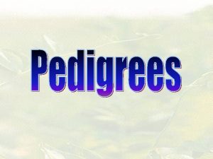 Pedigrees Show traits are passed on in a