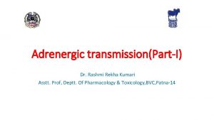 Adrenergic transmissionPartI Dr Rashmi Rekha Kumari Asstt Prof