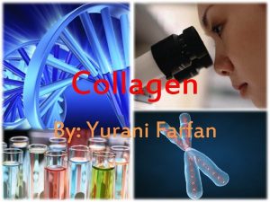Collagen By Yurani Farfan What is Collagen Collagen