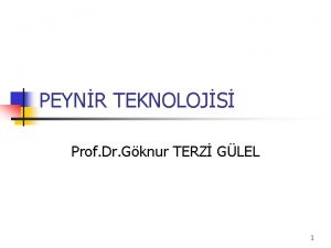 PEYNR TEKNOLOJS Prof Dr Gknur TERZ GLEL 1