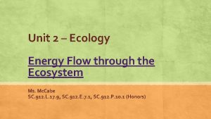 Unit 2 Ecology Energy Flow through the Ecosystem