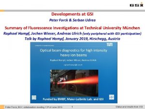 Developments at GSI Peter Forck Serban Udrea Summary