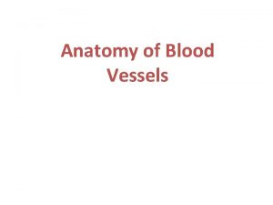 Anatomy of Blood Vessels Tunics of blood vessel