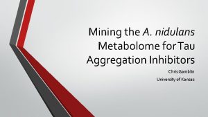 Mining the A nidulans Metabolome for Tau Aggregation