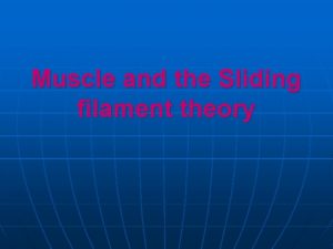 Muscle and the Sliding filament theory Skeletal muscle