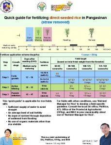 Quick guide for fertilizing directseeded rice in Pangasinan