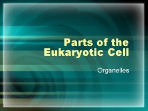 Parts of the Eukaryotic Cell Organelles Cell Membrane