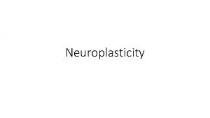 Neuroplasticity Agenda 1 Synaptic Plasticity a Short term