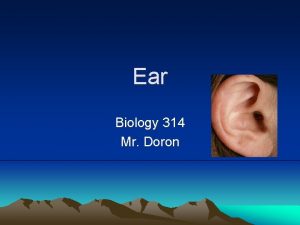 Ear Biology 314 Mr Doron Featuring Function of