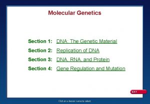 Molecular Genetics Section 1 DNA The Genetic Material