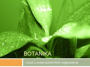 BOTANIKA uvod u svijet autotrofnih organizama Botanika grana