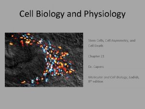 Cell Biology and Physiology Stem Cells Cell Asymmetry