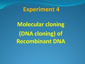 Experiment 4 Molecular cloning DNA cloning of Recombinant
