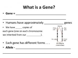 What is a Gene Gene Humans have approximately
