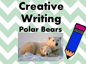 Creative Writing Polar Bears Polar Bears https www