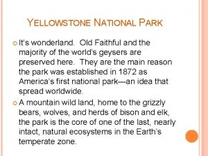 YELLOWSTONE NATIONAL PARK Its wonderland Old Faithful and