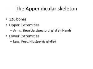 The Appendicular skeleton 126 bones Upper Extremities Arms
