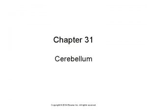 Chapter 31 Cerebellum Copyright 2014 Elsevier Inc All