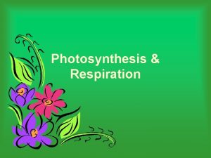 Photosynthesis Respiration Overview of photosynthesis and respiration SUN