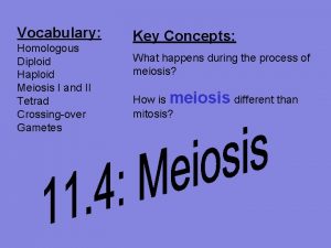 Vocabulary Homologous Diploid Haploid Meiosis I and II