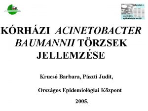 KRHZI ACINETOBACTER BAUMANNII TRZSEK JELLEMZSE Krucs Barbara Pszti