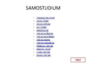 SAMOSTUDIUM STRAKAPOUD VELK DATEL ERN DROZD ZPVN KOS